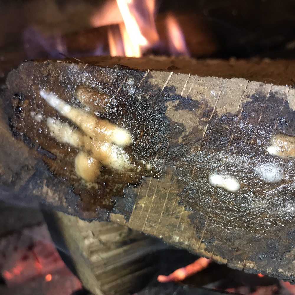 CJ Mulch and More - Wet wood doesn't burn well. - Landscaping Near Me - Simpsonville, South Carolina CJ Mulch and More - Wet wood doesn't burn well. - Landscaping Near Me - Simpsonville, South Carolina