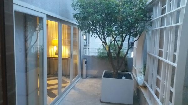 Oasis Avenue by null