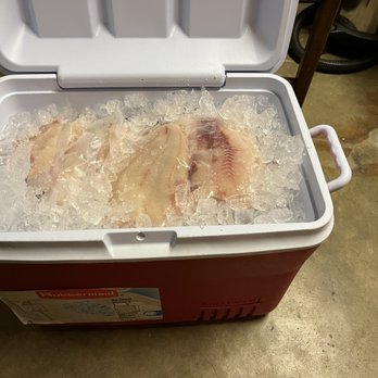 Five Star Charters - Cooler full of fish to bring home to Sacramento, CA - Fishing Near Me - Gold Beach, Oregon