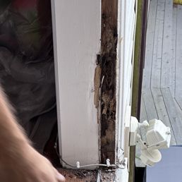 Wood rot Wood rot