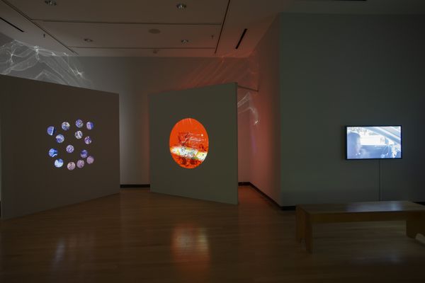 Halsey Institute of Contemporary Art at the College of Charleston by null