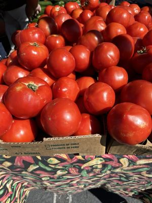 Tamarack Junction Farmers Market by null