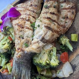 Branzino