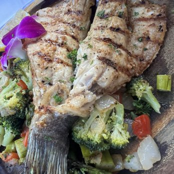 Espanolita - Branzino - Spanish Near Me - Miami Beach, Florida