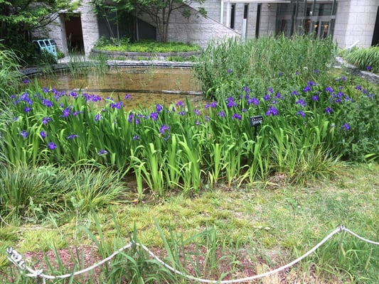 ARK Hills Sengokuyama Mori Tower by null