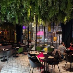 Wild Food - Interior