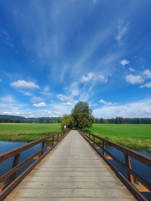 Carnation Farms by null