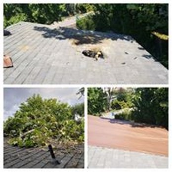 Frontier Property Care - Uh oh! Several stages of an emergency we did to get a limb out of a roof. - Tree Services Near Me - Meridian, Idaho Frontier Property Care - Uh oh! Several stages of an emergency we did to get a limb out of a roof. - Tree Services Near Me - Meridian, Idaho