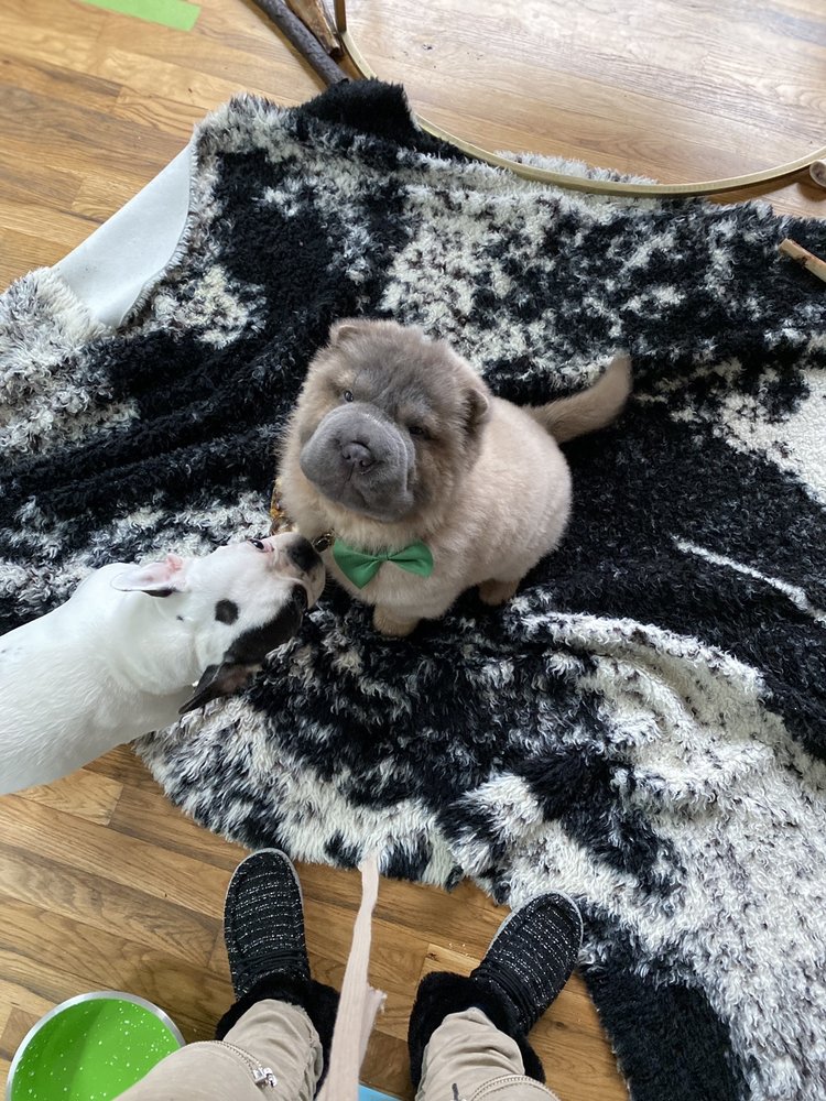 QUALITY GROOMING Updated September 2024 15 Photos & 43 Reviews