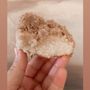 Photo of Clarkson Ave Crumb Cake