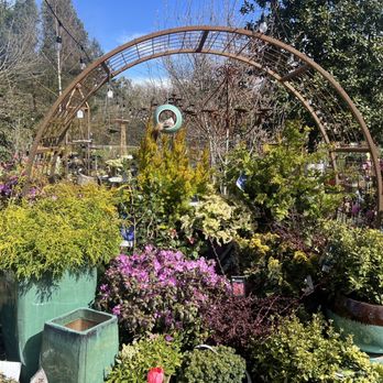 Little Bird Gardens - Nurseries & Gardening Near Me - Vashon, Washington