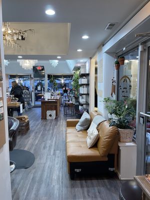 Ash & Willow Eco Salon and Beauty Apothecary