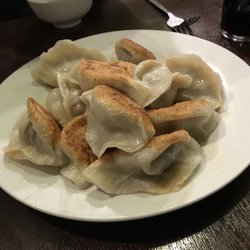 Chinese Dumpling Master - Pork and Chive Dumpling