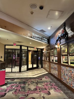 Flamingo Las Vegas by null