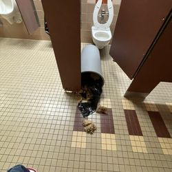 Pearland Junior High South - Mess
