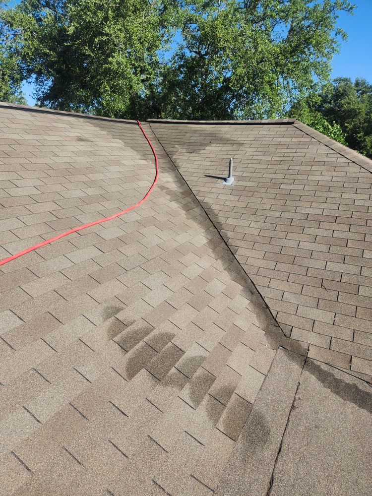 Slide of Grizzly Solutions