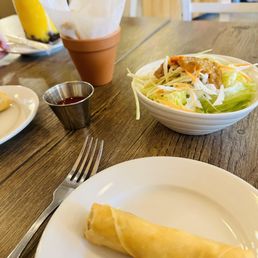 Crispy Spring Rolls
