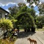 Photo of Sunrise Animal Hospital