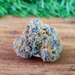 Fast Grass