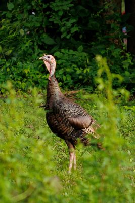 Plan Bee Farm Brewery by null