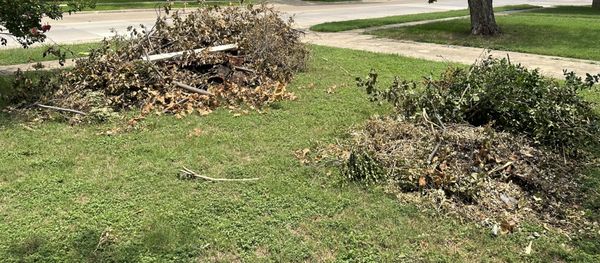 WE-HAUL JUNK - Updated March 2026 - 63 Photos - Dallas, Texas - Junk
