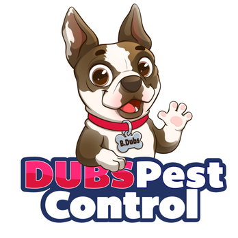 Dubs Pest Control - Pest Control Near Me Dubs Pest Control - Pest Control Near Me