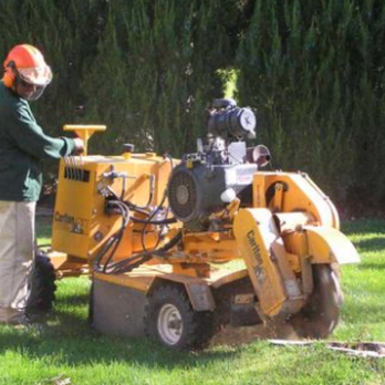 Gerald's Tree Service - a man operating a tree stump - Landscaping Near Me - Bonita Springs, Florida