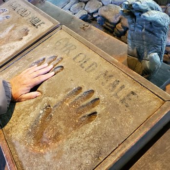 Gorilla Falls Exploration Trail - A 6 year old gorillas hand prints - Amusement Parks Near Me - Lake Buena Vista, Florida