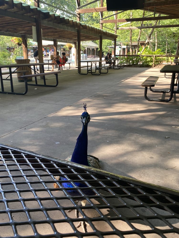 BRONX ZOO WILDLIFE CONSERVATION SOCIETY Updated February 2024 25