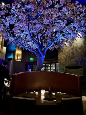Okura Robata Grill & Sushi Bar by null