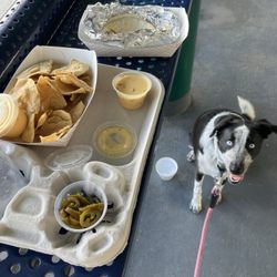 Bill Miller Bar-B-Q - Nachos and tacos