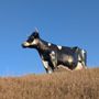 Photo of Salem Sue, World's Largest Holstein Cow