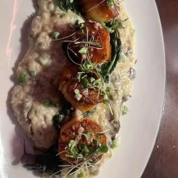 Peninsula Prime - Scallops entree - Steakhouses Near Me - Cornelius, North Carolina Peninsula Prime - Scallops entree - Steakhouses Near Me - Cornelius, North Carolina