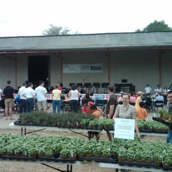 Wake Forest Herb Fest - entertainment