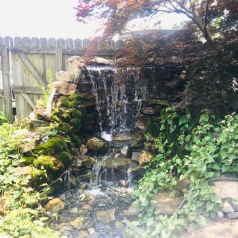 The Water Garden Center - Beautiful waterfall in back - Local Fish Stores Near Me - Richmond, Virginia