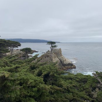 The Lone Cypress - Landmarks & Historical Buildings Near Me - Del Monte Forest, California