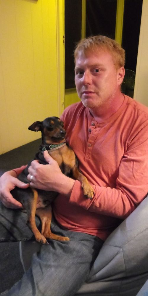 CHRIS CARES PET SERVICE 17 Photos Punta Gorda, Florida Pet Sitting Phone Number Yelp