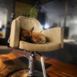 The Organic Salon