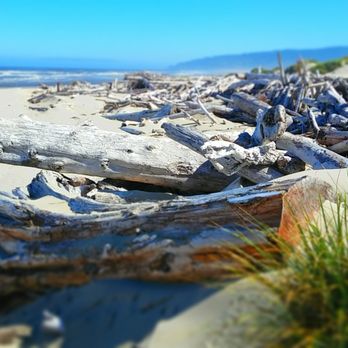 Harbor Vista County Park - Looking north along the driftwood covered beach. - Parks Near Me - Florence, Oregon Harbor Vista County Park - Looking north along the driftwood covered beach. - Parks Near Me - Florence, Oregon