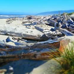 Harbor Vista County Park - Looking north along the driftwood covered beach.