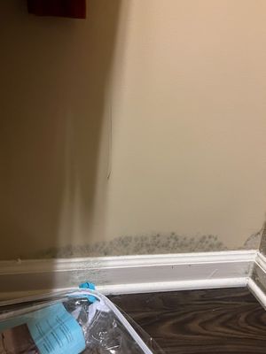 Signal Hill Apartment Homes