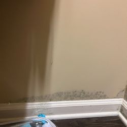 Signal Hill Apartment Homes - Mold again from closet.