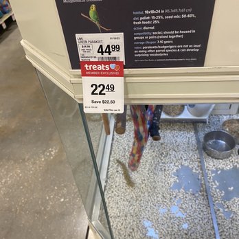 PetSmart Dog Training - Pet Training Near Me - Casselberry, Florida PetSmart Dog Training - Pet Training Near Me - Casselberry, Florida