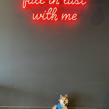 BobaLust - Kirkland - @koda.bear.pomsky had a nice visit to bobalust and best of all they had chicken treats for him! - Bubble Tea Near Me - Kirkland, Washington