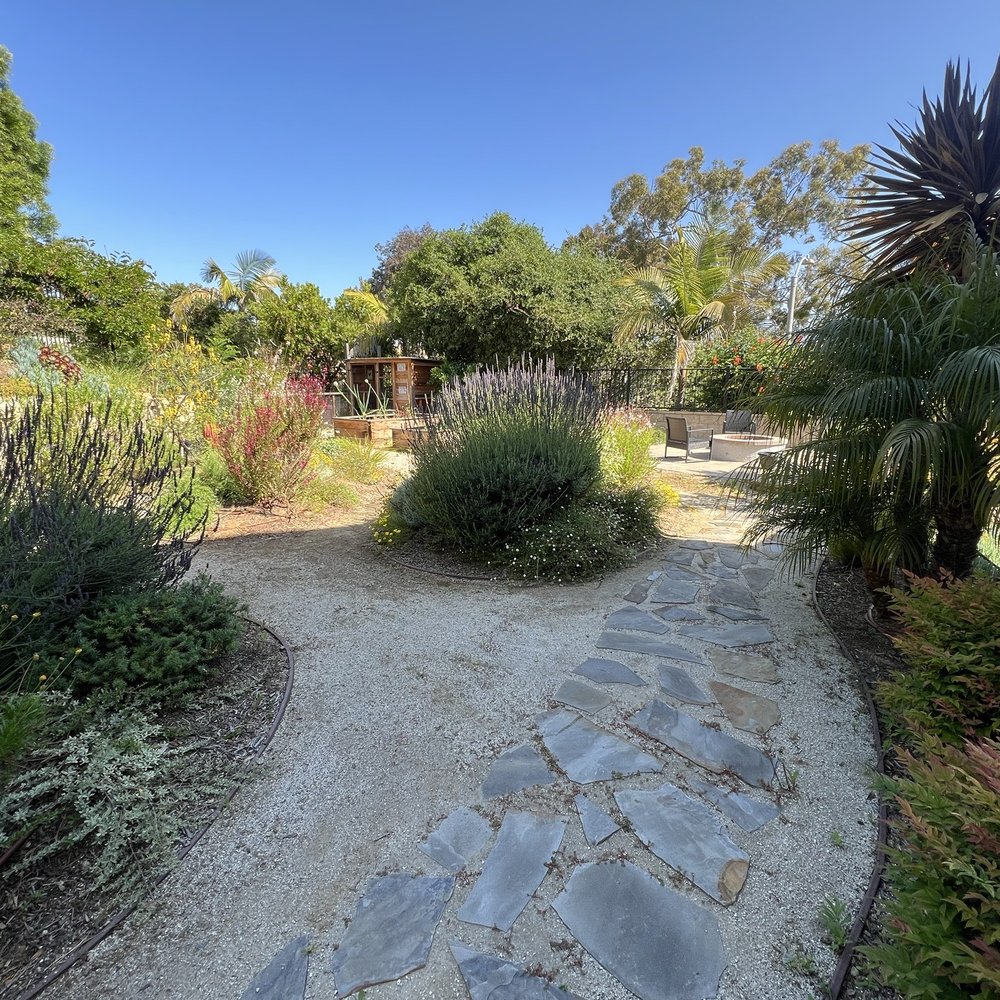 US Turf - Before with our plants - Artificial Turf Near Me - San Diego, California US Turf - Before with our plants - Artificial Turf Near Me - San Diego, California