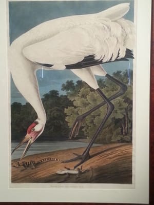 Oglethorpe University Museum of Art by null
