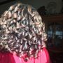 Photo of Great Clips