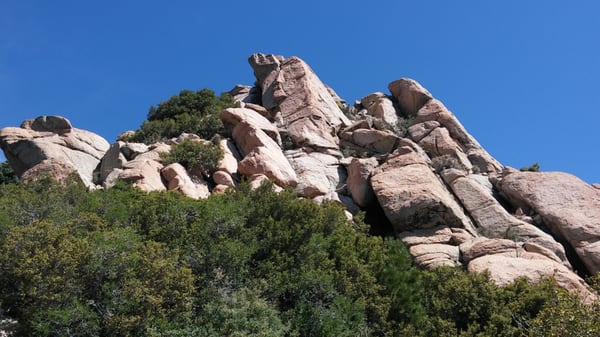 Hualapai Mountain Park Campground by null