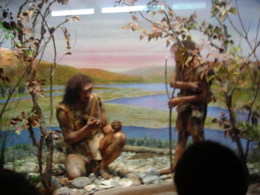 Museum of Prehistory of the Gorges du Verdon by null