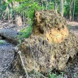 Losen Slote Creek Park - (Summer 2026)